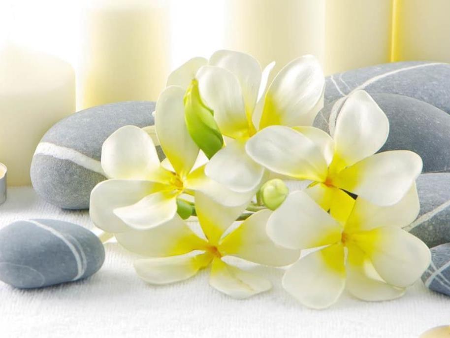 Описание изображения